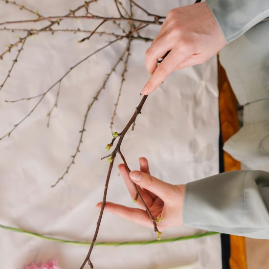 IKEBANA JAPON - MUJER Y VIAJERA