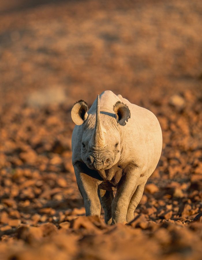 WhatsApp Image 2025-11-27 at 11.08.35 WhatsApp Image 2025-11-27 at 11.08.35