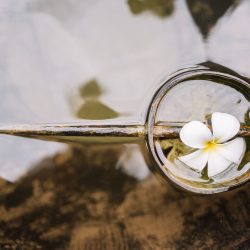 Camboya Wellness - Mujer y viajera Camboya Wellness - Mujer y viajera